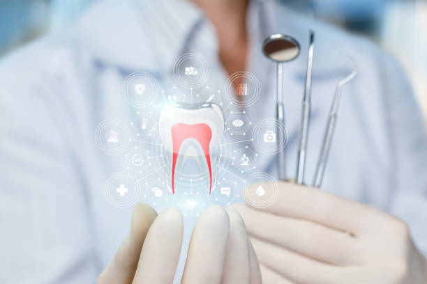 Best Pediatric Dentistry  in Franklin, NC